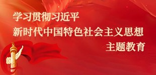 进建贯彻习近平新时期中国特色社会主义思想主题教育